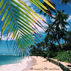 room4space - The Sound Of The Caribbean | Dancing Pineapple