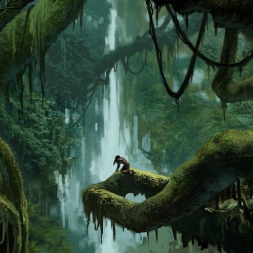 Mystery Life Of The Jungle ©