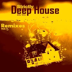 Strictly DeepHouse ( 80s 90s) remixes Vol 5 ____(2015)__dj set