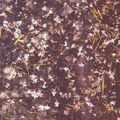 Appunti di viaggio #03 mixed by QuelRagazzo