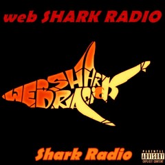 Shark Radio teszt