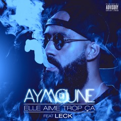 Elle Aime Trop Ca Feat L.E.C.K (Radio Edit)