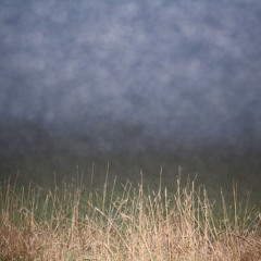 Jonathan Davies - Already Written All My Good Songs