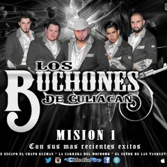 11.-  EL MENCHO