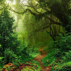 Jungle Way (Version 1)