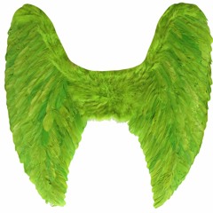 Hypnotize - The Green Wings (cover)