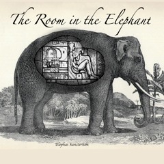 The Parts Of The Dream That Confused The Fetus