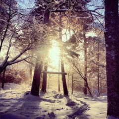 Who Would I Be - Anton Hultberg