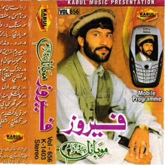 Selection of Audio Watermarks on Pashto-language Cassettes