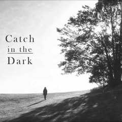 Catch In The Dark - Passenger