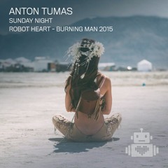 Anton Tumas - Robot Heart - Burning Man 2015