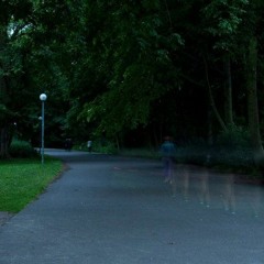 Excerpt Strange Half - Absence of Wandering at Night