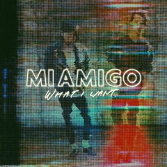 What I Want (salute Remix)