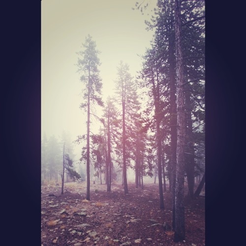 Invisible Autumn (Vocal Mix Feat. Toska)