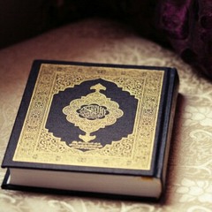 سورة المطففين - الشيخ منصور السالمي