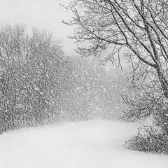 LOST BUT NOT FORGOTTEN (guitar track preview only)