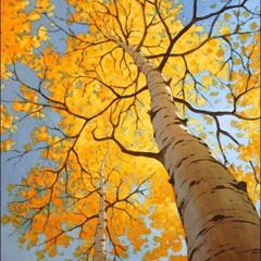 First Impression is not the last impression