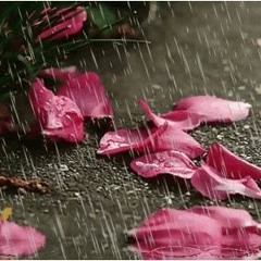 Importance Of English