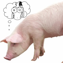 I'm A Pig