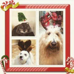 Basel Tov - Art Basel 2015 Live Mix