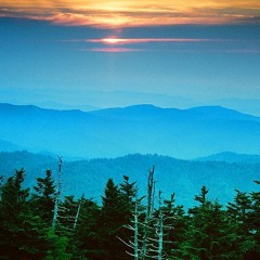 Fleet Foxes - Blue Ridge Mountains