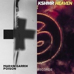Martin Garrix Vs KSHMR & Shaun Frank - Poison Heaven (Teebo Mashup)(Radio Edit)