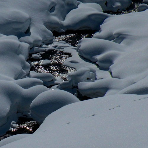The Inward Trek