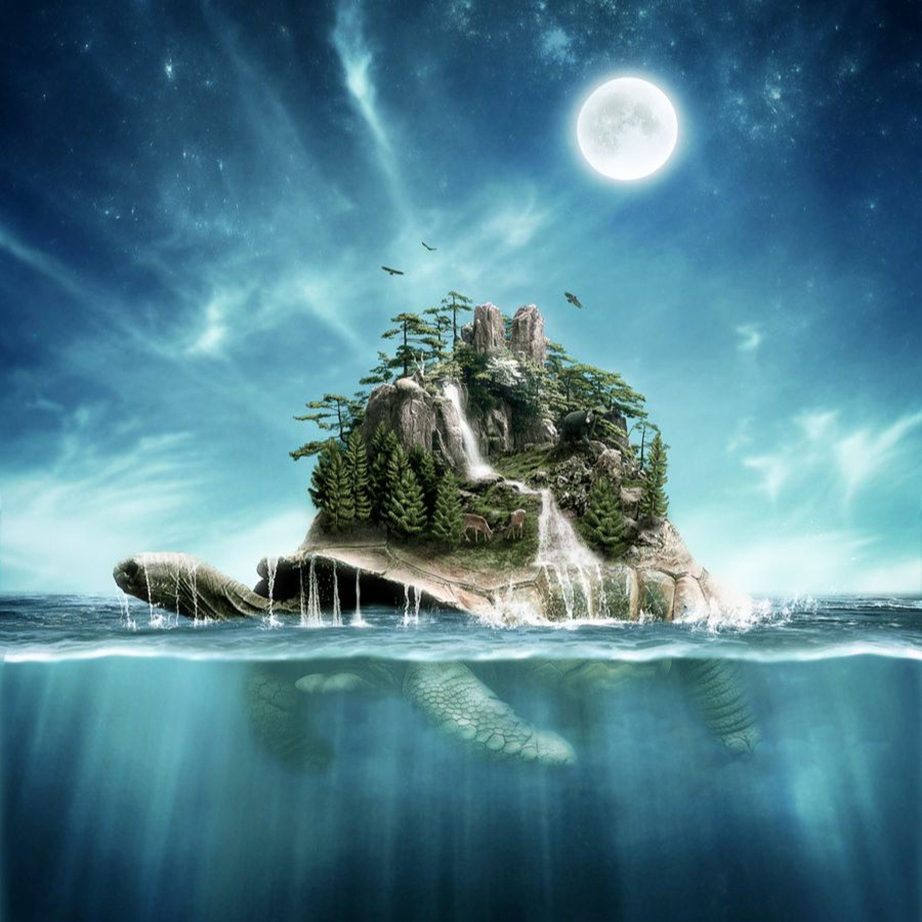 Island X TURNER episode artwork