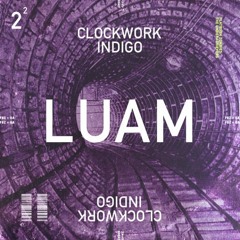 Clockwork Indigo Flatbush Zombies - LUAM