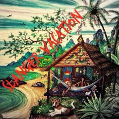 Slanger Vacation Ft santana & Twockupp