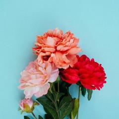 Drake - Find Your Love (KION Remix)