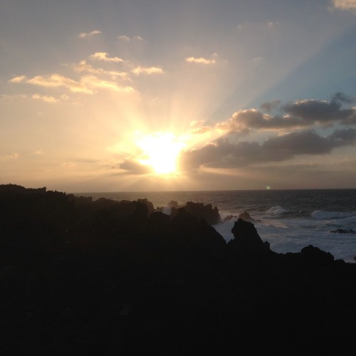 Fields Of Rays