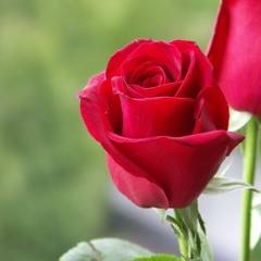 Dont worry, im yours