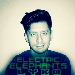 Jay Hardway - Electric Elephants (LYKO)