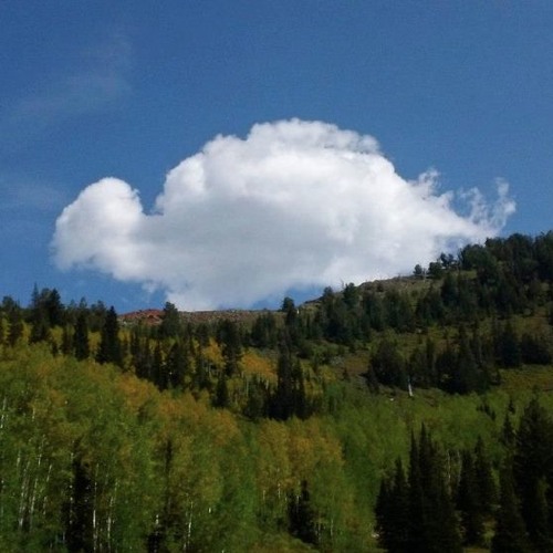 A Passing Cloud