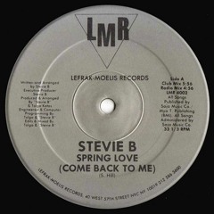 STEVIE B - SPRING LOVE (promo freestyle REMIX)