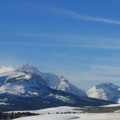 Quote From Ronnel Goss.