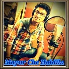 MAYUR CHE HALDILA - ANIMESH THAKUR