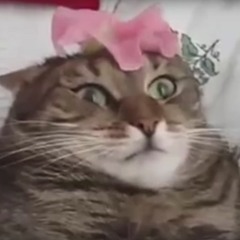 Let Me Make Your Video Game Music For Free