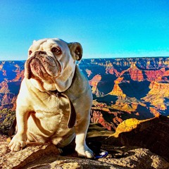 Singularity is Instrumental