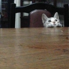 Free (Marcus Miller, Corrine Bailey Rae cover)- Coolanja