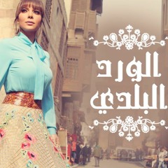 اصاله-الود البلدي