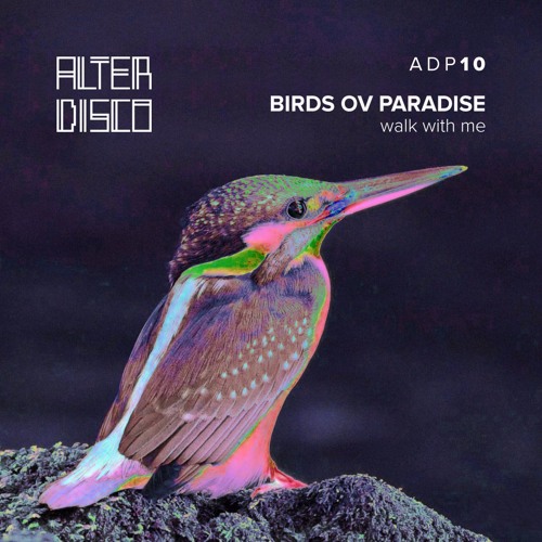 Birds ov Paradise - Alter Disco Podcast 10