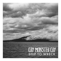 Ship To Wreck (Live at Sunday Sessions)