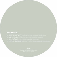 B2. Nicola Kazimir - Reductive Ford [Sample Cut]