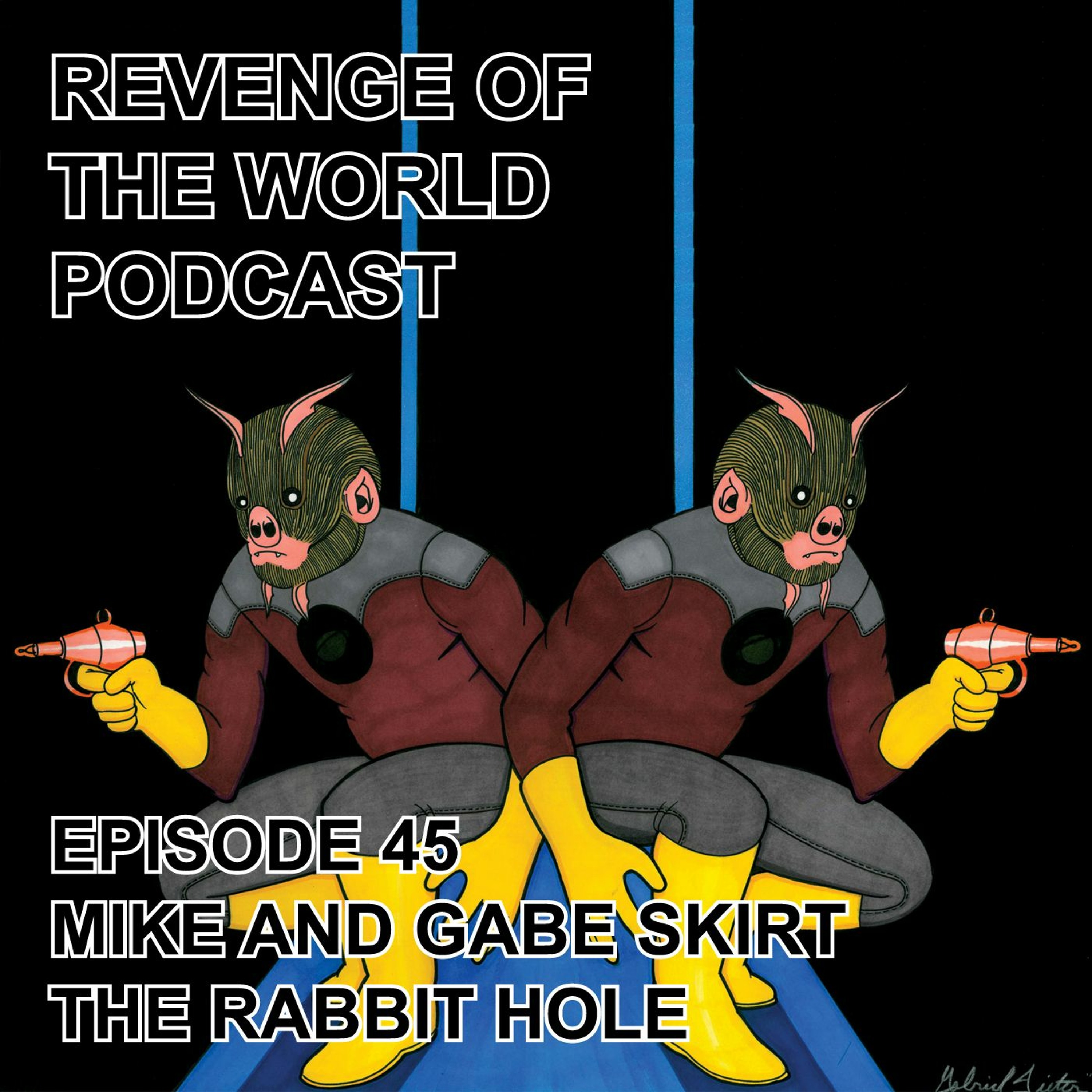 EPISODE 45 - MIKE AND GABE SKIRT THE RABBIT HOLE episode artwork