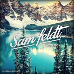 Sam Feldt - Winterzon (Mixtape)
