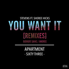 Stevens ft. Sheree Hicks - You Want It (Mixes) Inc Giorgio Sainz & Andree