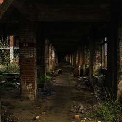 Train Passing on Small Station, Taken Inside Old Ruined Factory Surrounded by Nature, Portugal