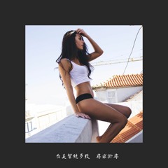 måxvest - Get Your Booty Bounce High (mashup)